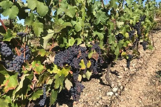 Domaine du Four a chaux