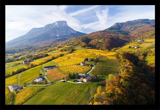Domaine DUPRAZ