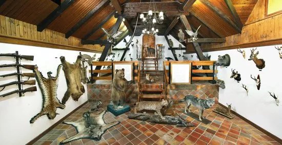 Hunting Collection and Dormouse Museum