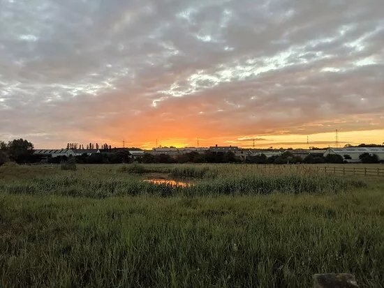 Woodhouse Washlands Nature Reserve