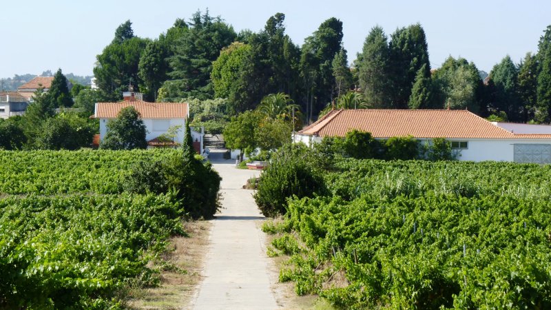 Do Carvalhinho Quinta