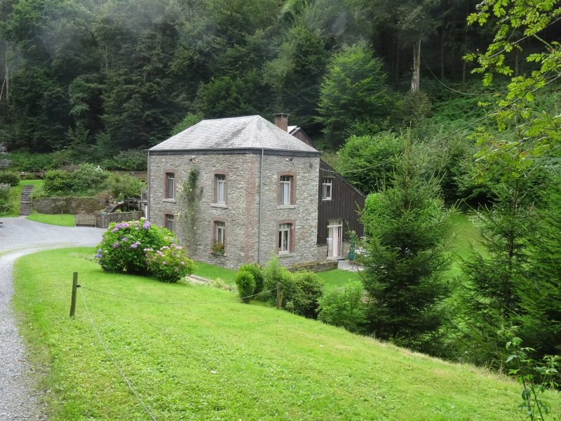 Le vieux moulin