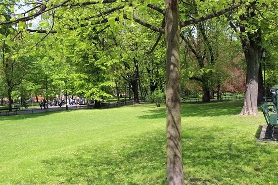 Bednarski Park