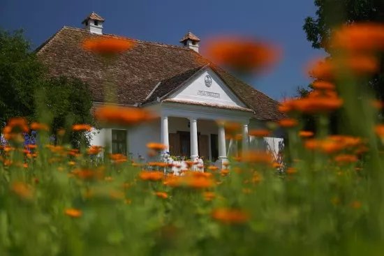 Szentabrahami Organic herb garden