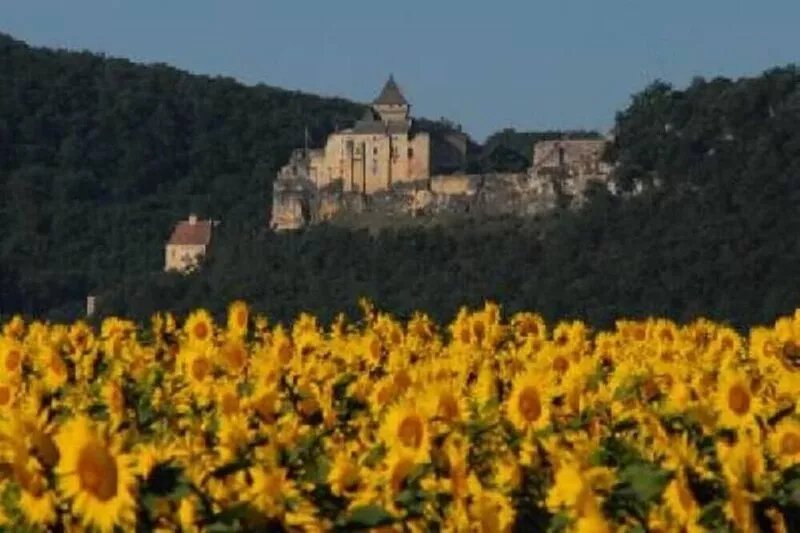 "Le Pigeonnier", in the valley of the 5 castles in Périgord Noir