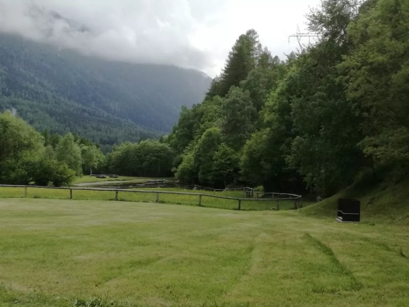 Camping Vicosoprano