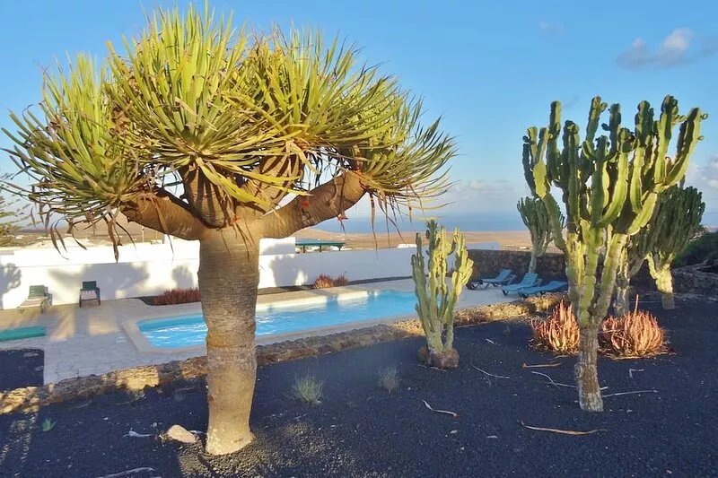Gran Finca con 3 Apartemientos muy Privados. Vistas, Natura, Calma, Piscina