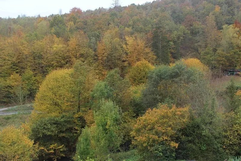 Andrea vacation apartment in Grünebach - Andrea vacation apartment with a view