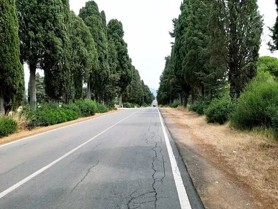 Viale Dei Cipressi