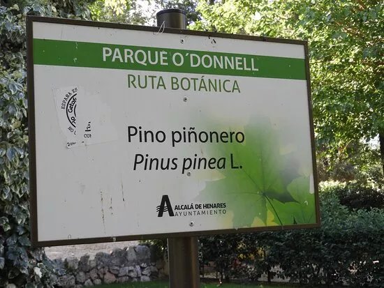 Parque de O'Donnell
