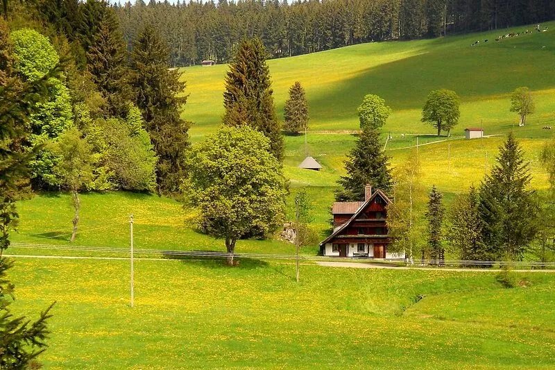 A Black Forest vacation in pure nature.