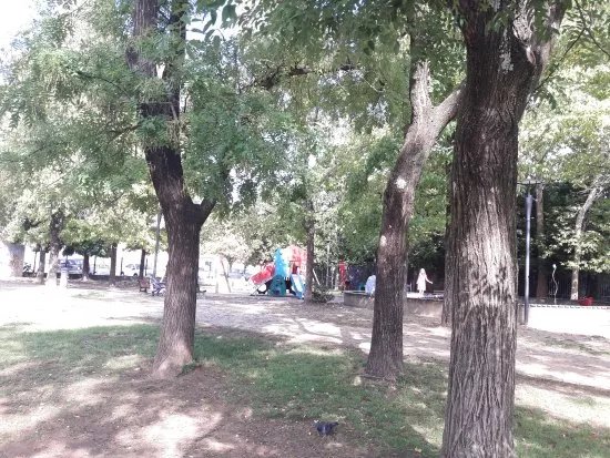 Fontanello n. 14 Via Antonini (Parco Monteoliveto, Pistoia)