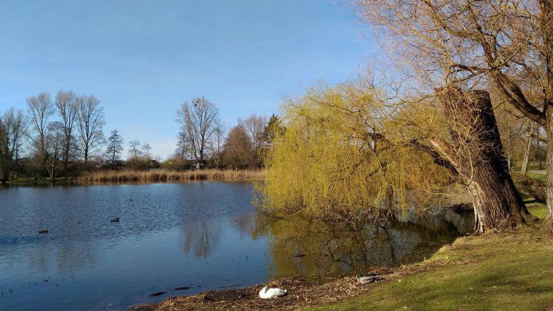 Schul- und Burgergarten Doweseeweg