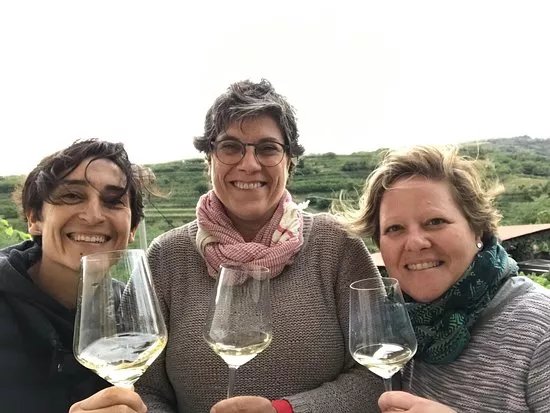 Vina Sosolic