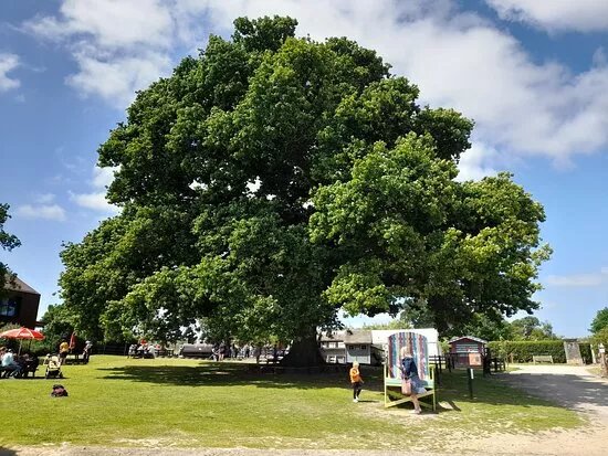 Aldingbourne Country Centre