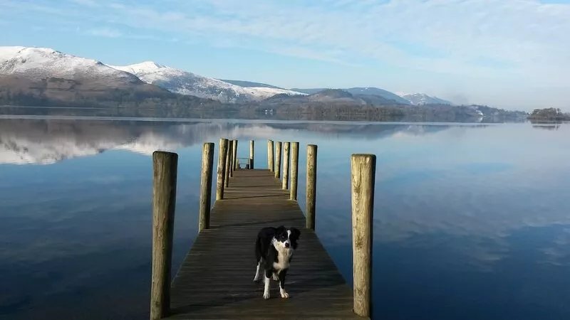 Picturesque Cottage with exceptional views of fells, near A66 & Keswick