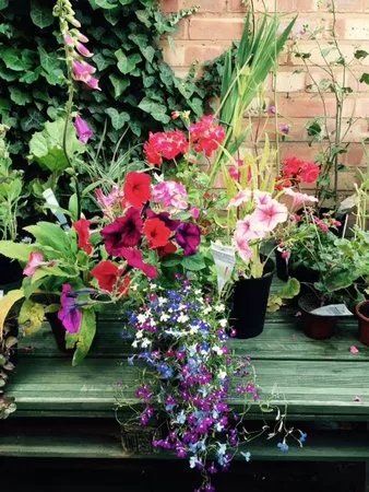 Alcester Country Market