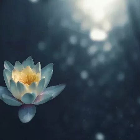 Namaste Yoga Baden