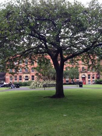 Parsonage Gardens