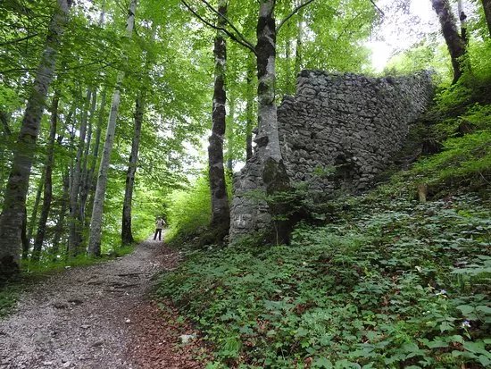 Burg Vilsegg