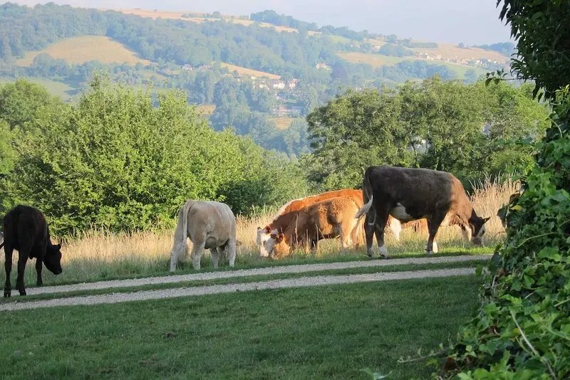 Newton Cottage, Amberley Cotswolds