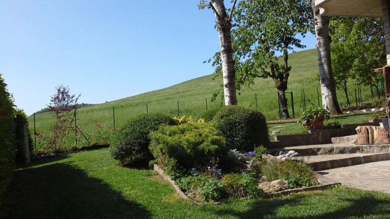 La Collina del Sole