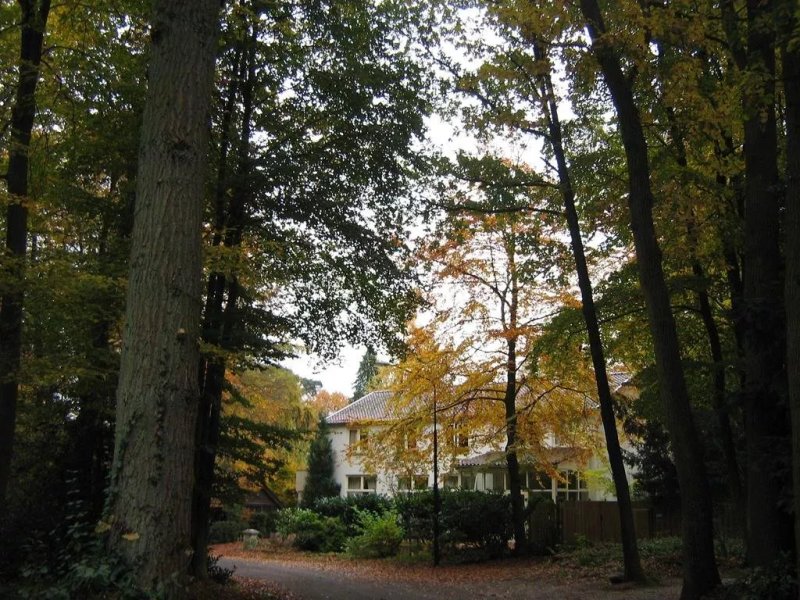 B&B in de aap gelogeerd