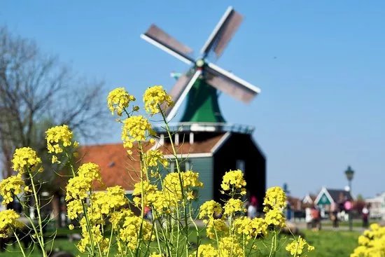 Holland Windmills