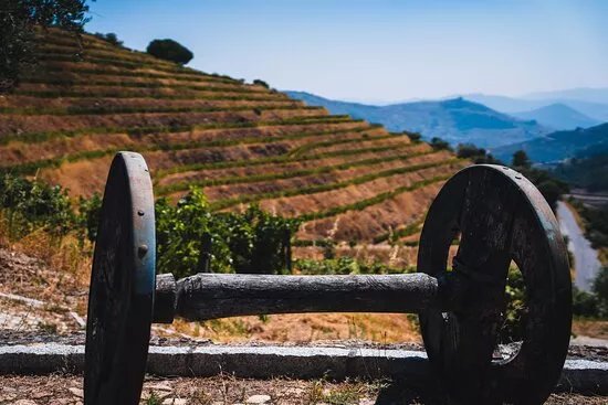 Quinta Da Pedra Alta