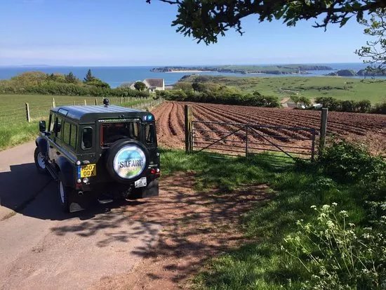 Pembrokeshire Safari Tours