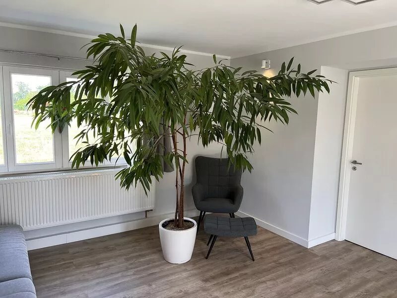 Space for the whole family - bungalow with a large plot