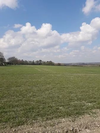 Magdalen Hill Down