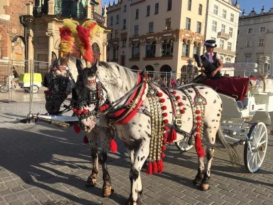 Krakow Guides