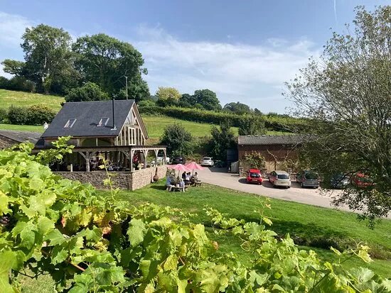 The Sugarloaf Vineyard