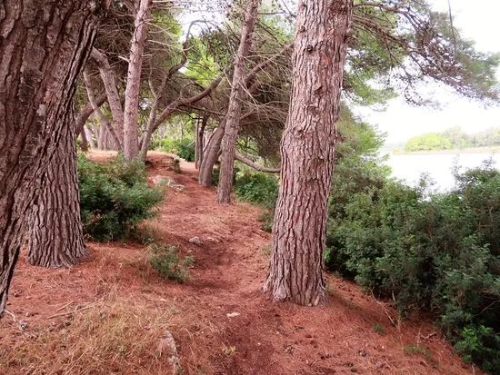 Stagno di Calich