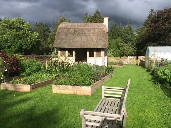 The Kitchen Garden Ty Mawr