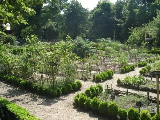Chevalerie de Sace - Archaeological Site & Botanical Gardens