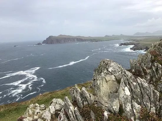 Brewery Hops Tours of Ireland