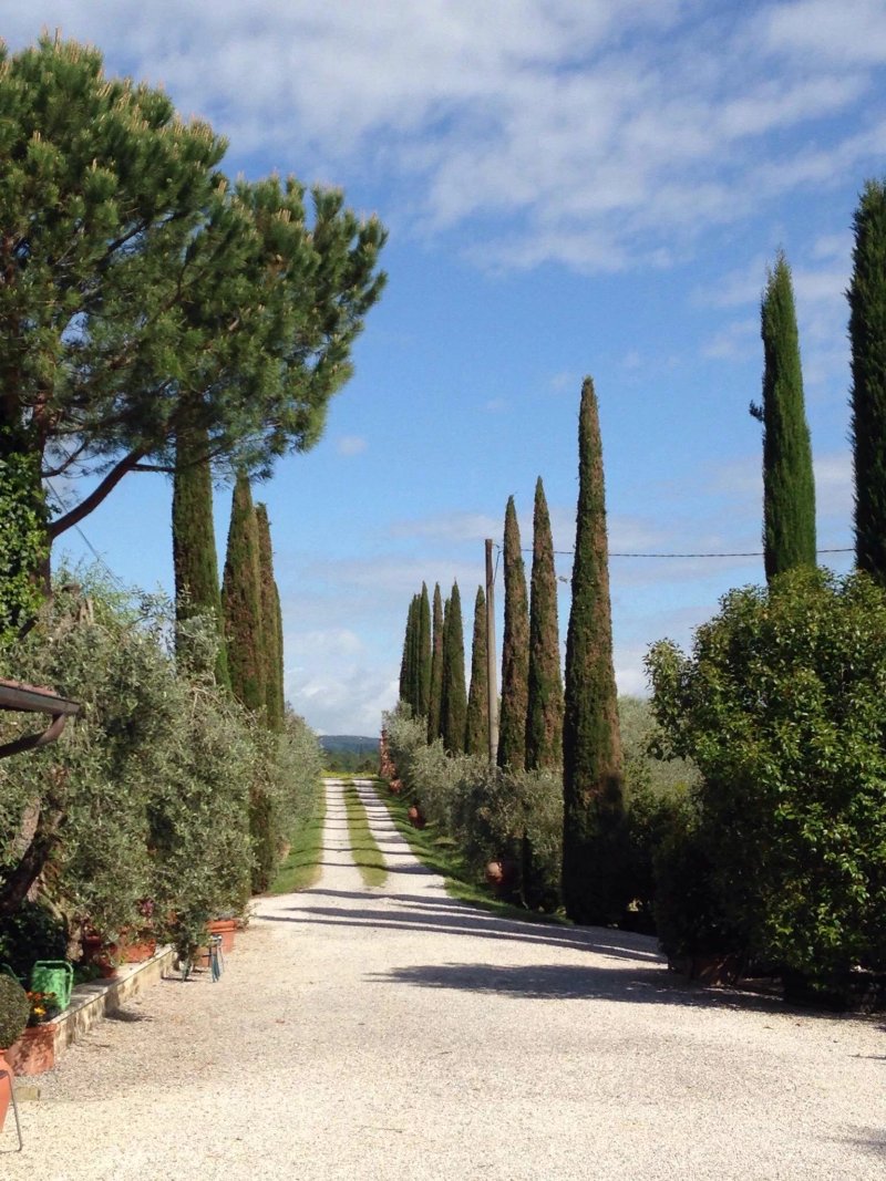 Agriturismo Casalbosco