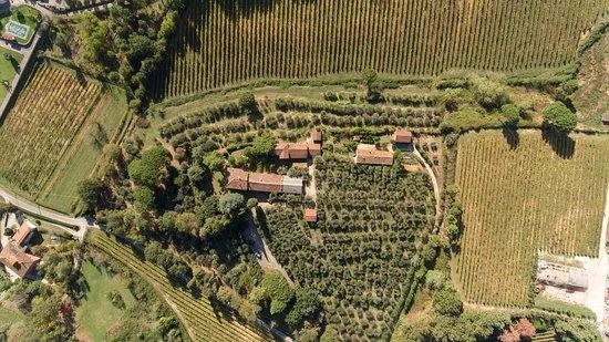 Azienda Agricola Wandanna