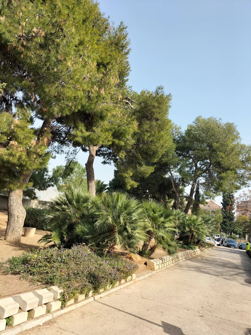 L'hort De Trenor