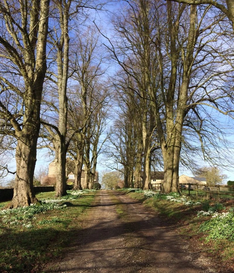 Lowfield Farm