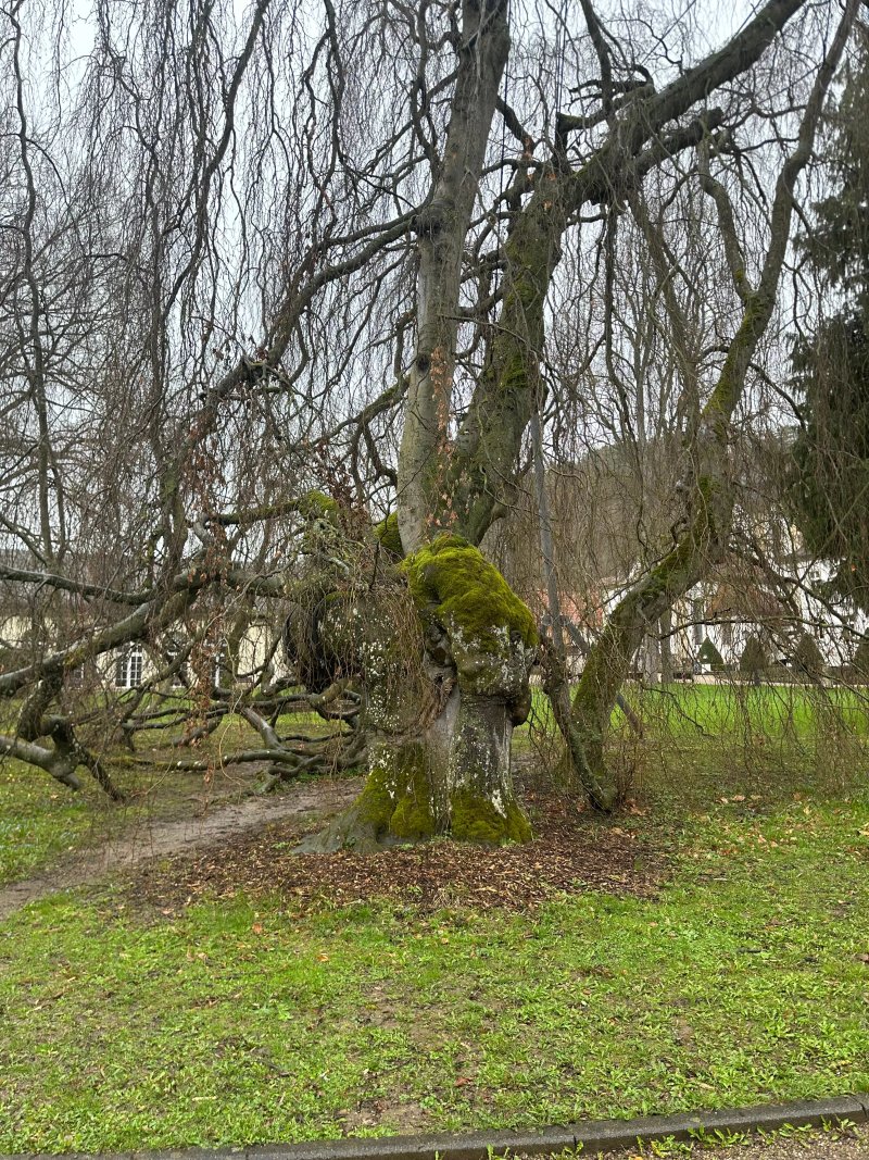 Kurpark Bad Neustadt Neuhaus