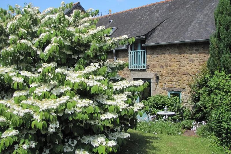 Quality Traditional Gite for 2 in Gomene central Brittany - HEATED pool & WIFI