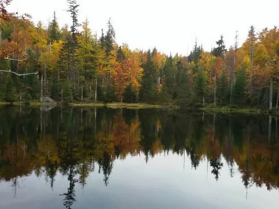 Lusen
