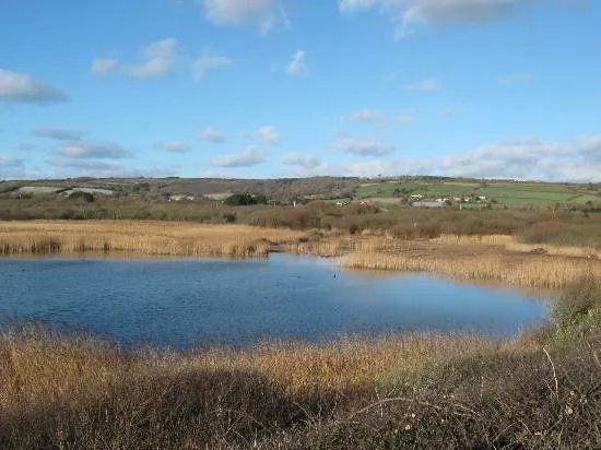 Marazion Marsh