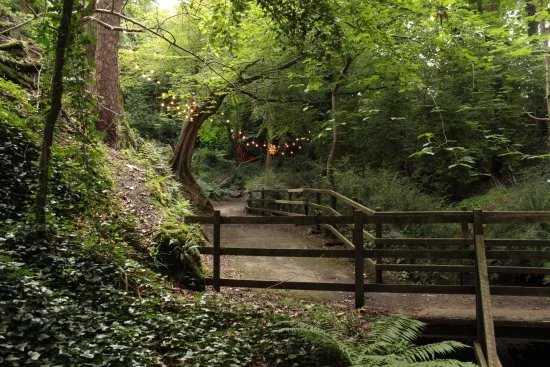 Summerhill Glen