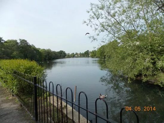 Valentines Park
