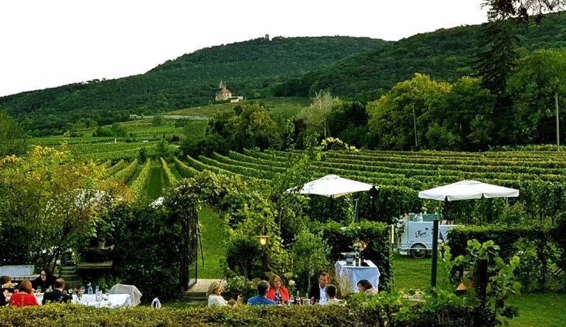 Heurigen Galerie Plos