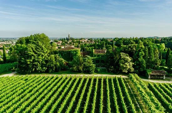 Le Vigne di San Pietro